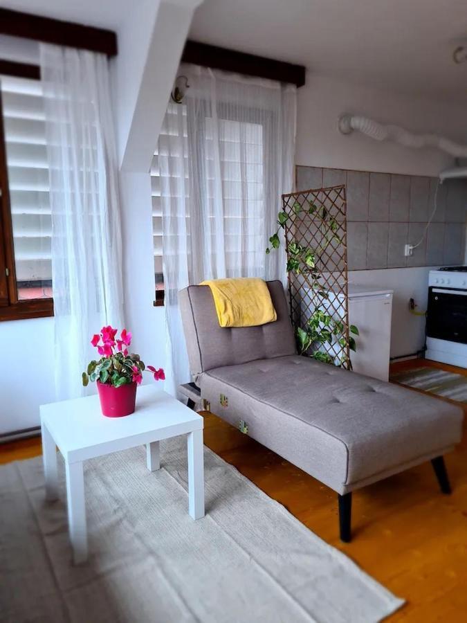 Casa Bonita Saliste Hotel Kültér fotó
