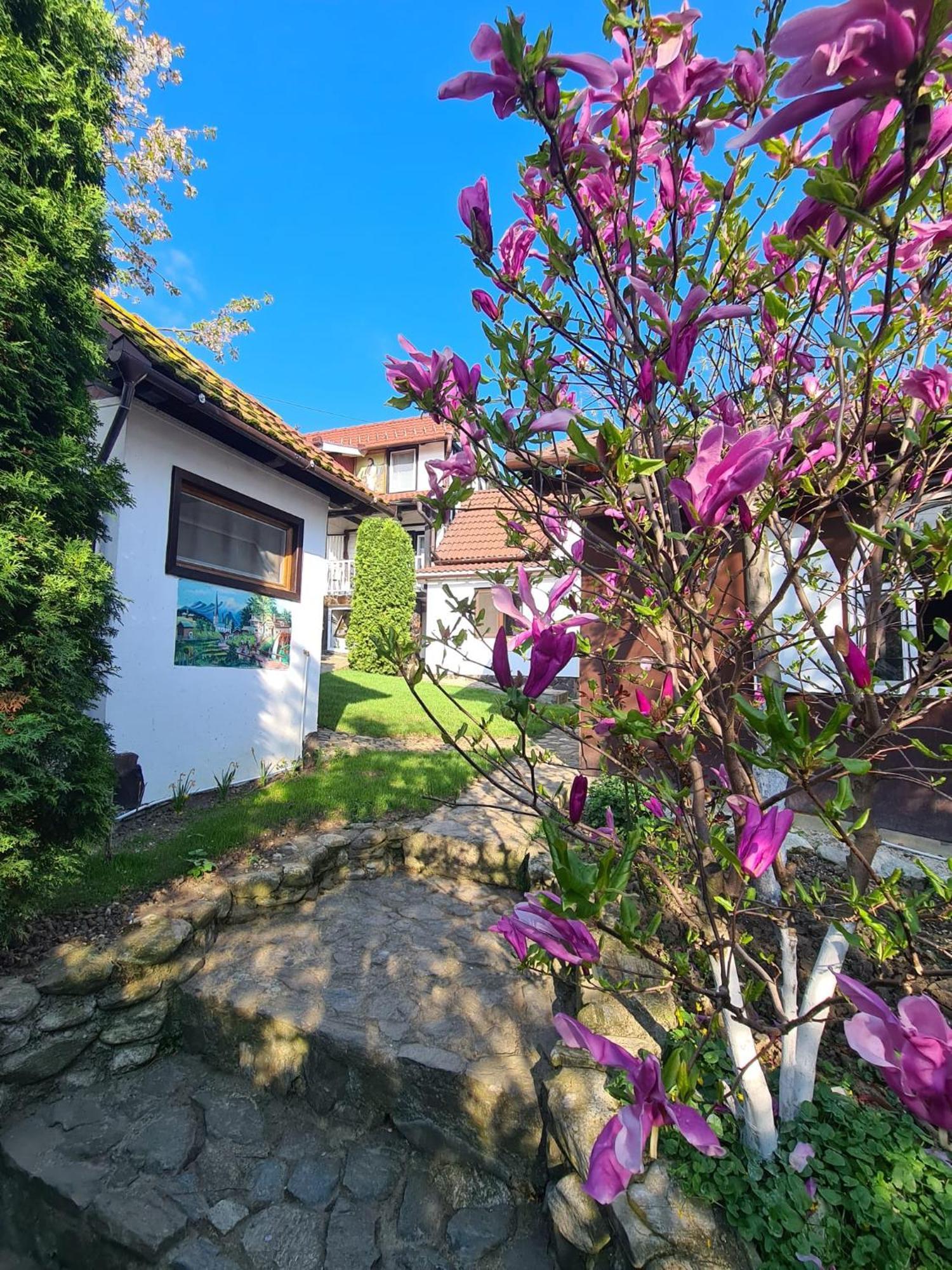 Casa Bonita Saliste Hotel Kültér fotó